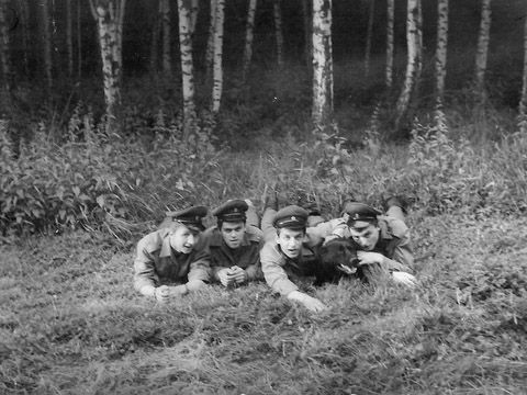 Foto 10